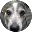 Detlef S. profile picture